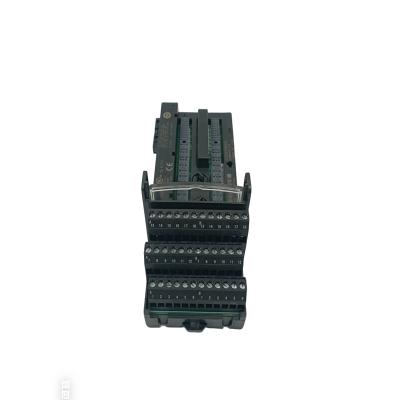 IC200CHS022J GE  Gate Module