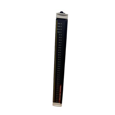 3723X Triconex  Analog Output Modules